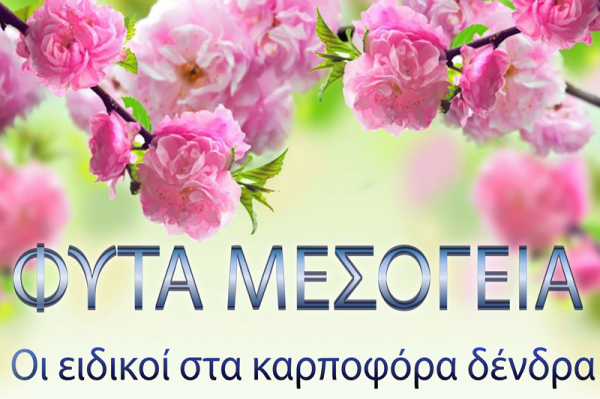 Αγορά Φυτών Μαρκόπουλο